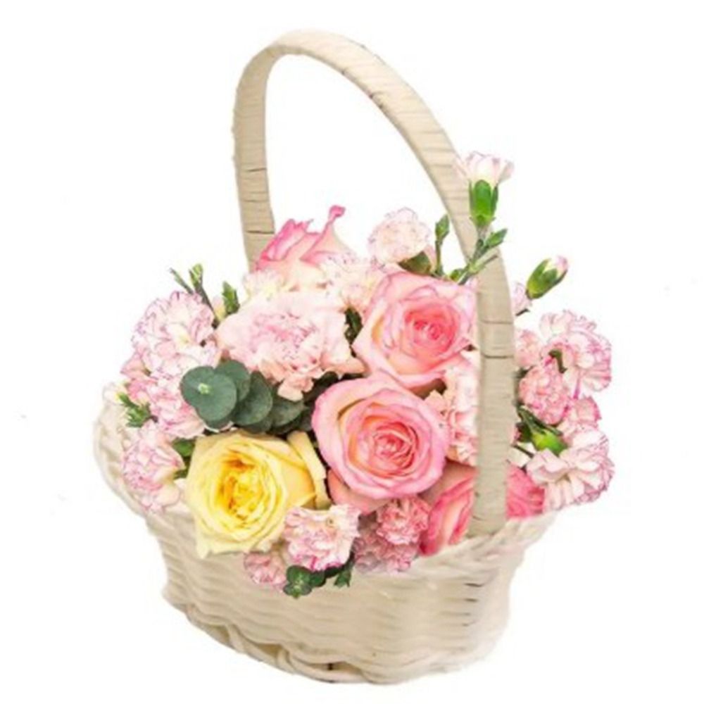 Keranjang Penyimpanan Bunga Ca - Basket Bag Wicker ulasan dan harga